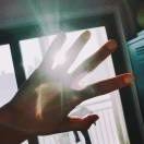 火鸟~王晗