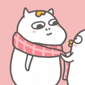 宣传大使投票